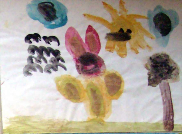 Image14