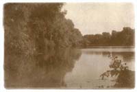 rheinaue01