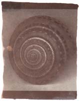 schnecke01